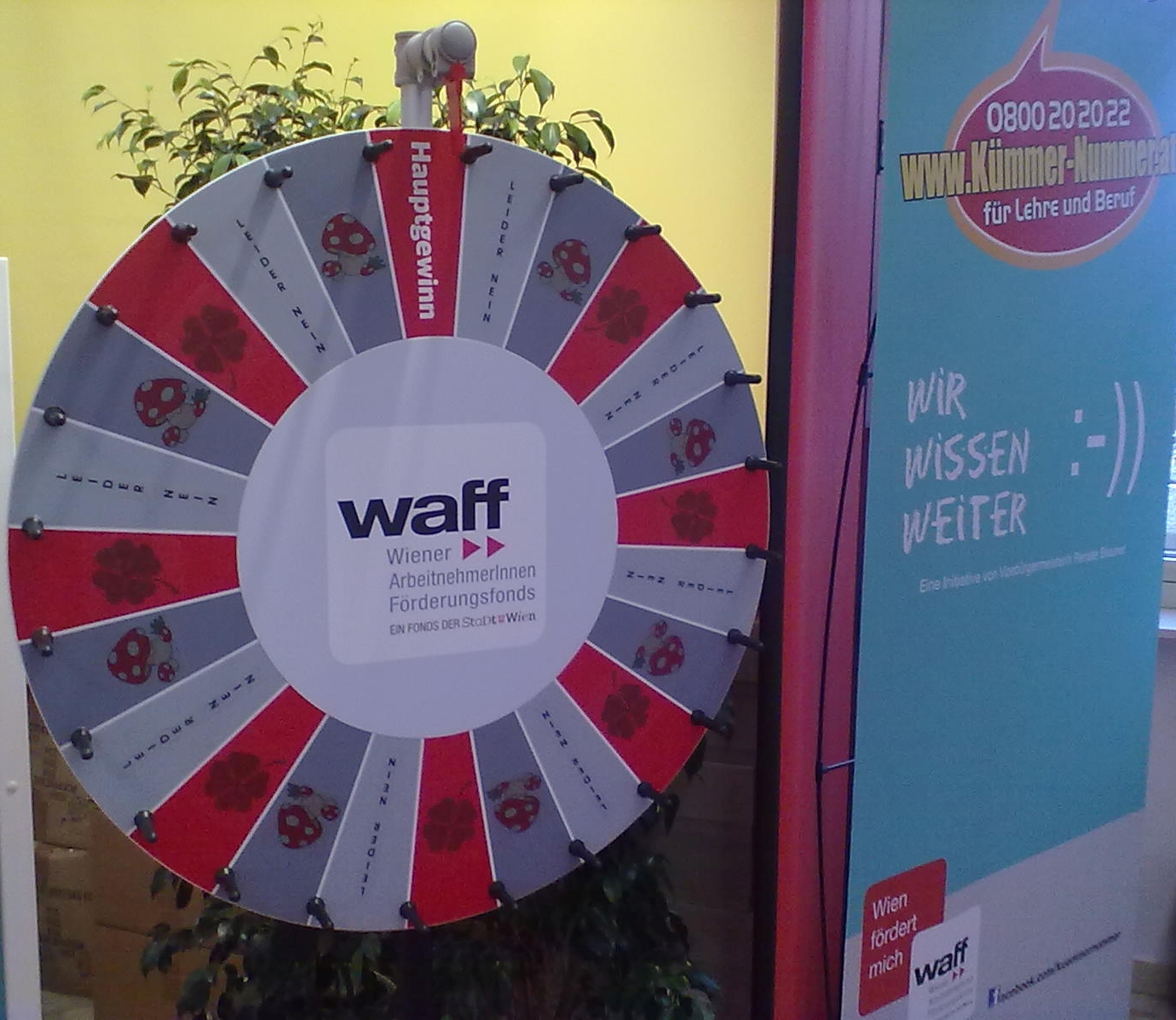waff waff